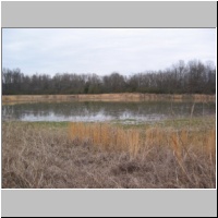 Work Day - 2/04, North field pond - full pool