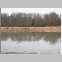 Work Day - 2/04, North field blind - full pool